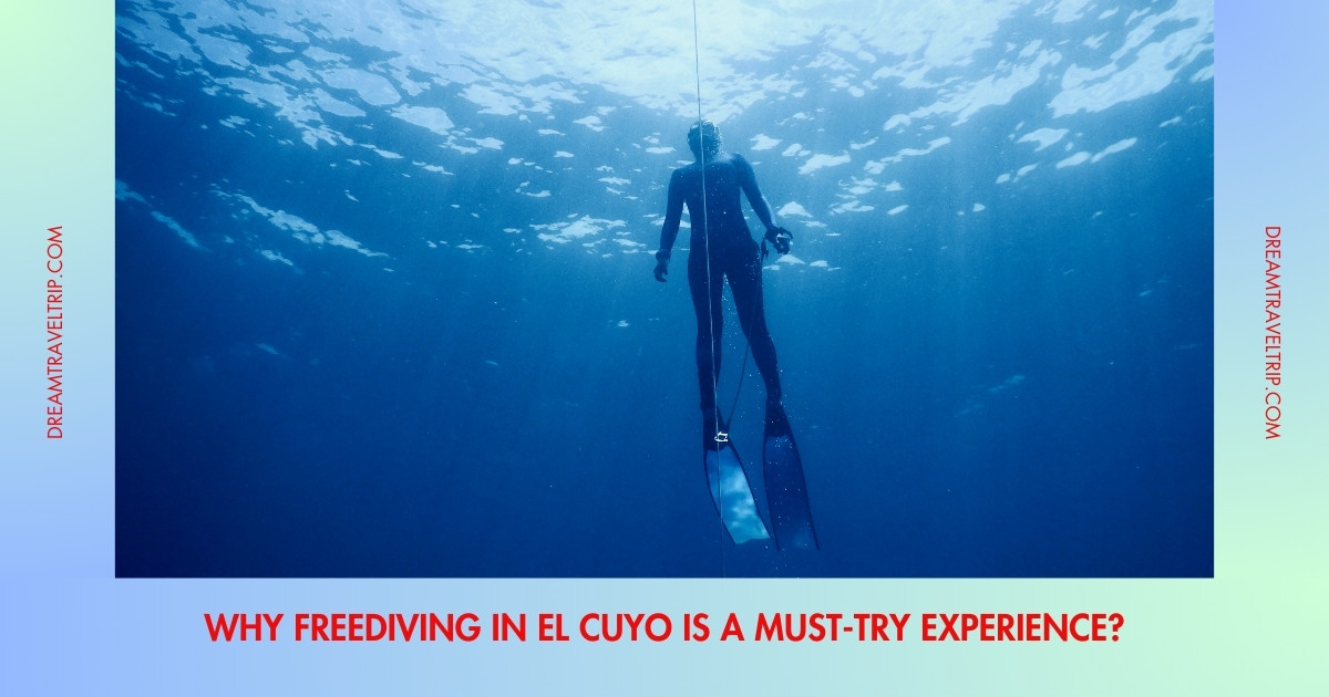 Freediving in El Cuyo